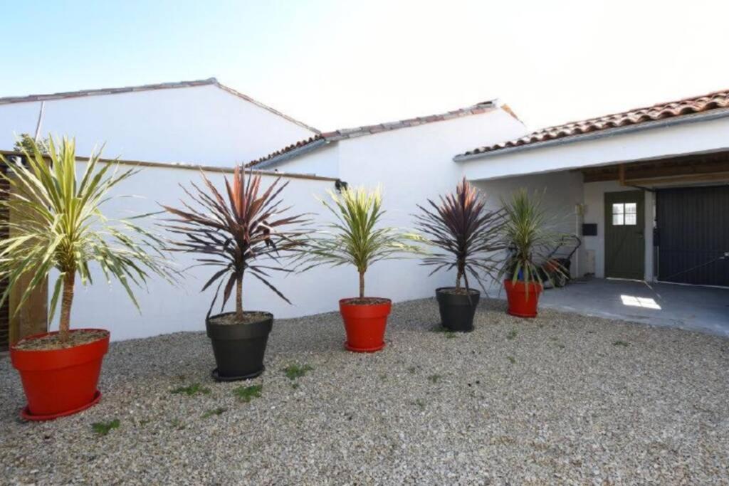 L'oiselière ------- nul part ailleurs Villa Loix Esterno foto